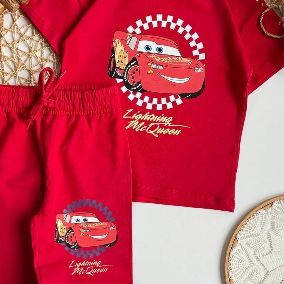 Şimşek Mcqueen takım